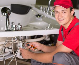 About Plumbers Pros Grawn, MI